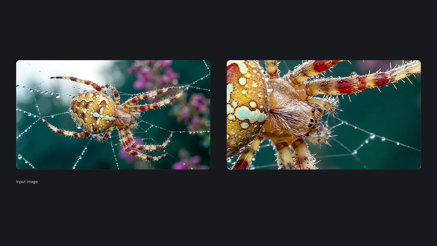 A split image demonstrating a high-resolution zoom on a nature photograph. The left side shows a colorful orb-weaver spider resting on a dew-covered web with a blurred background. The right side is an extreme macro close-up, revealing the minute textures, hairs, and water droplets on the spider's legs and body.