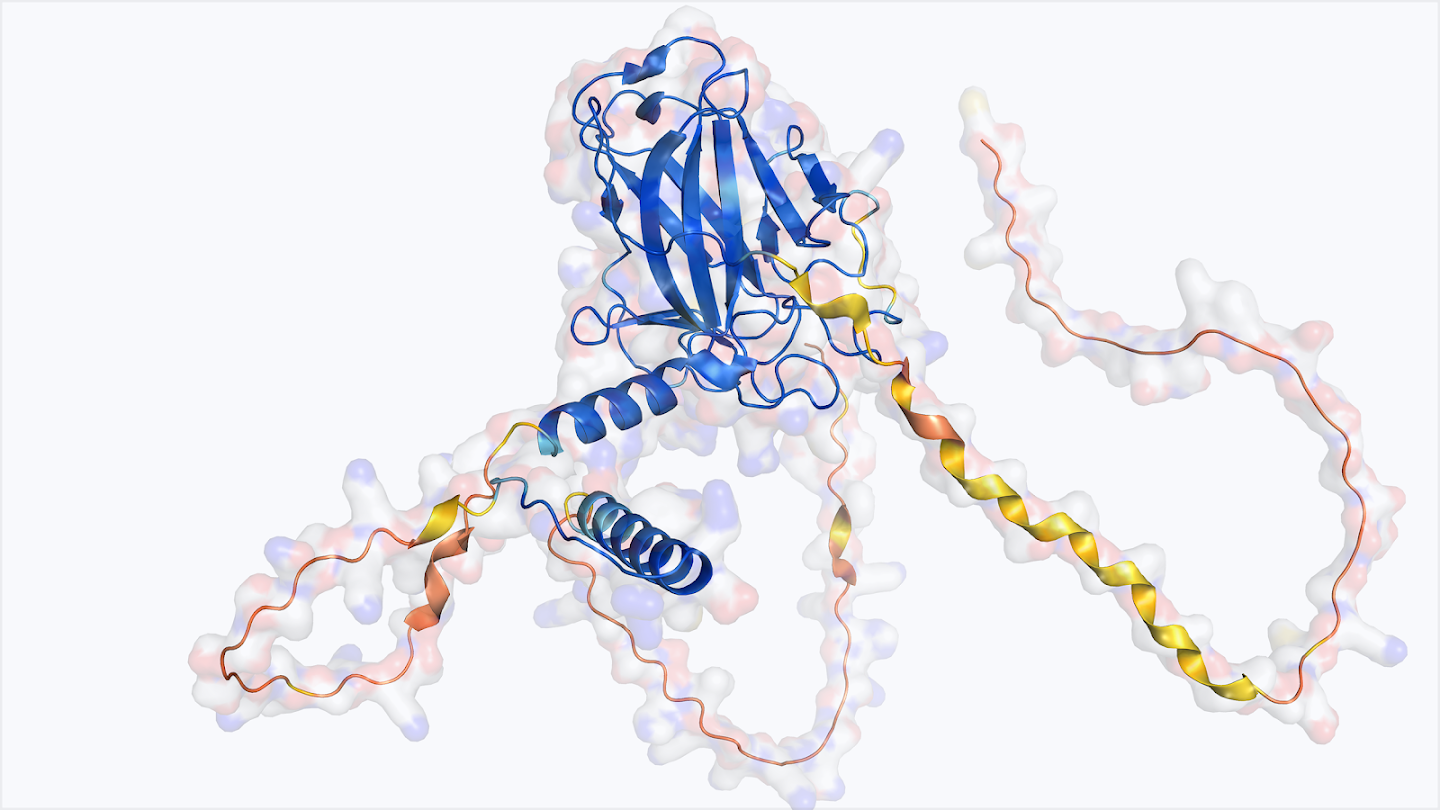 A molecular structure showing the p53 tumor suppressor protein (blue ribbons and surfaces) bound to DNA (orange and yellow helical ribbons).