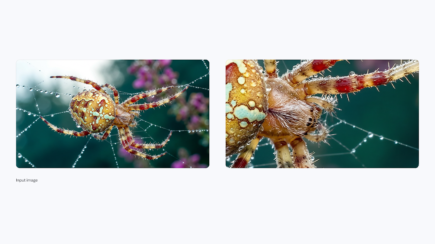 A split image demonstrating a high-resolution zoom on a nature photograph. The left side shows a colorful orb-weaver spider resting on a dew-covered web with a blurred background. The right side is an extreme macro close-up, revealing the minute textures, hairs, and water droplets on the spider's legs and body.