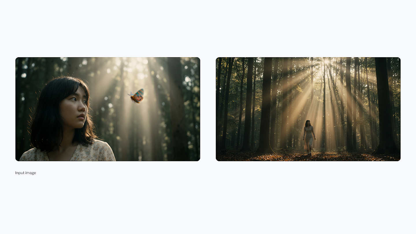 A comparison showing a change in scale. The left image is a close-up of a young woman watching a butterfly, while the right image zooms out to show her as a tiny figure walking through a vast, sun-drenched forest with towering trees.