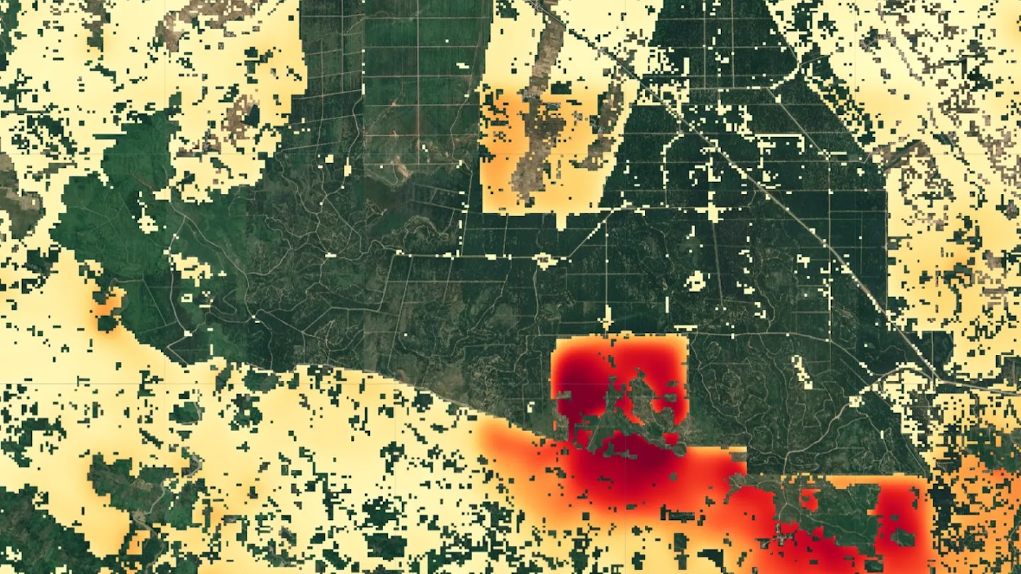 A map showing deforestation risk for a region in Southeast Asia in 2023, with green showing areas already deforested, and red indicating higher risk for deforestation.