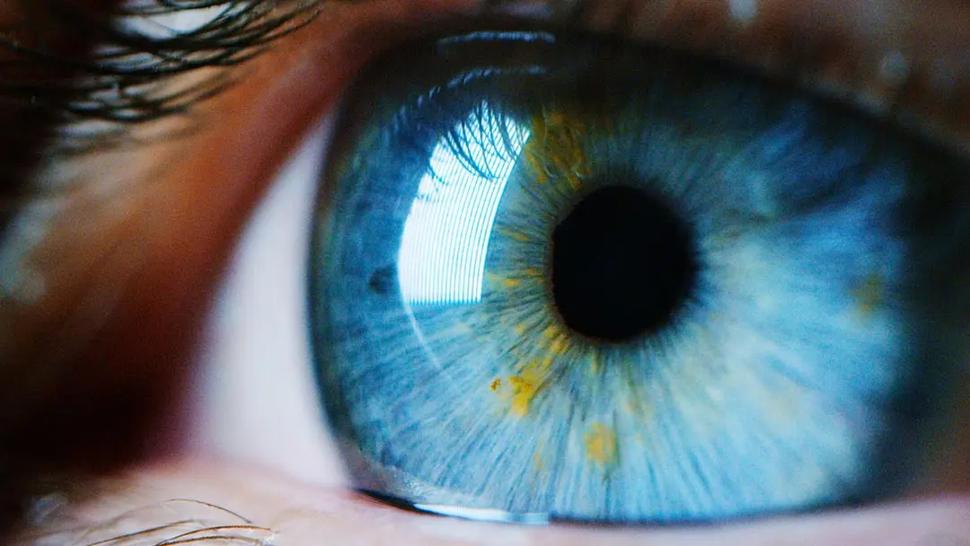 A close-up photograph of an eye with a blue iris.