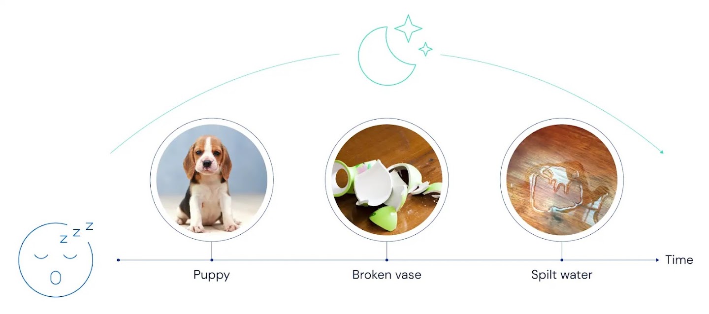 While sleeping, the order of events is flipped to: puppy, broken vase, spilt water